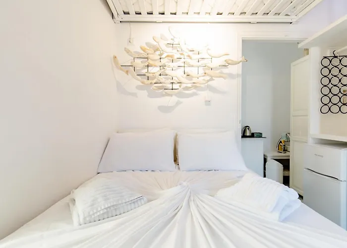 Elpis Mykonos - Delos Port *